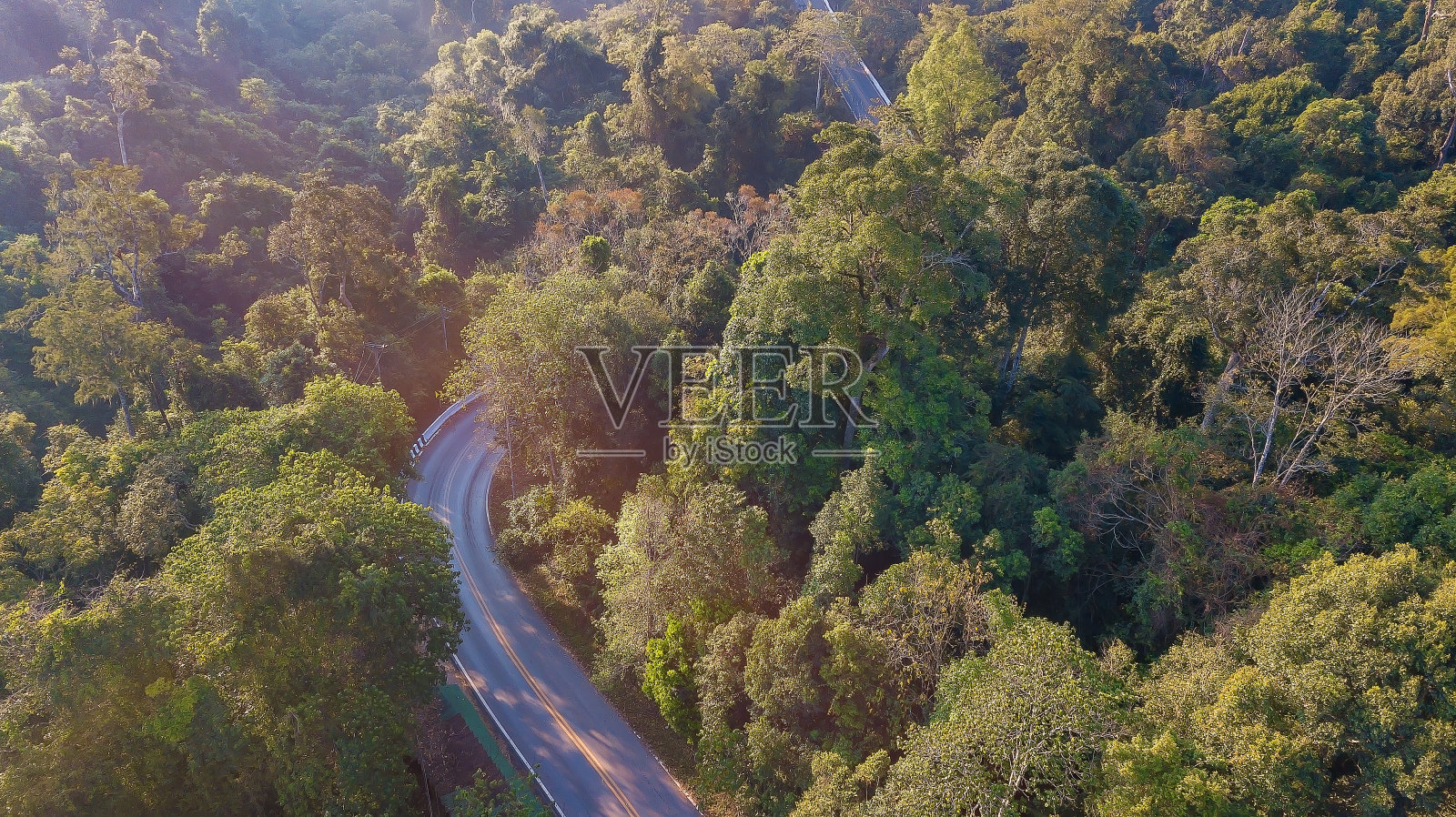 俯瞰在巨大森林的绿松树之间的神奇的道路照片摄影图片