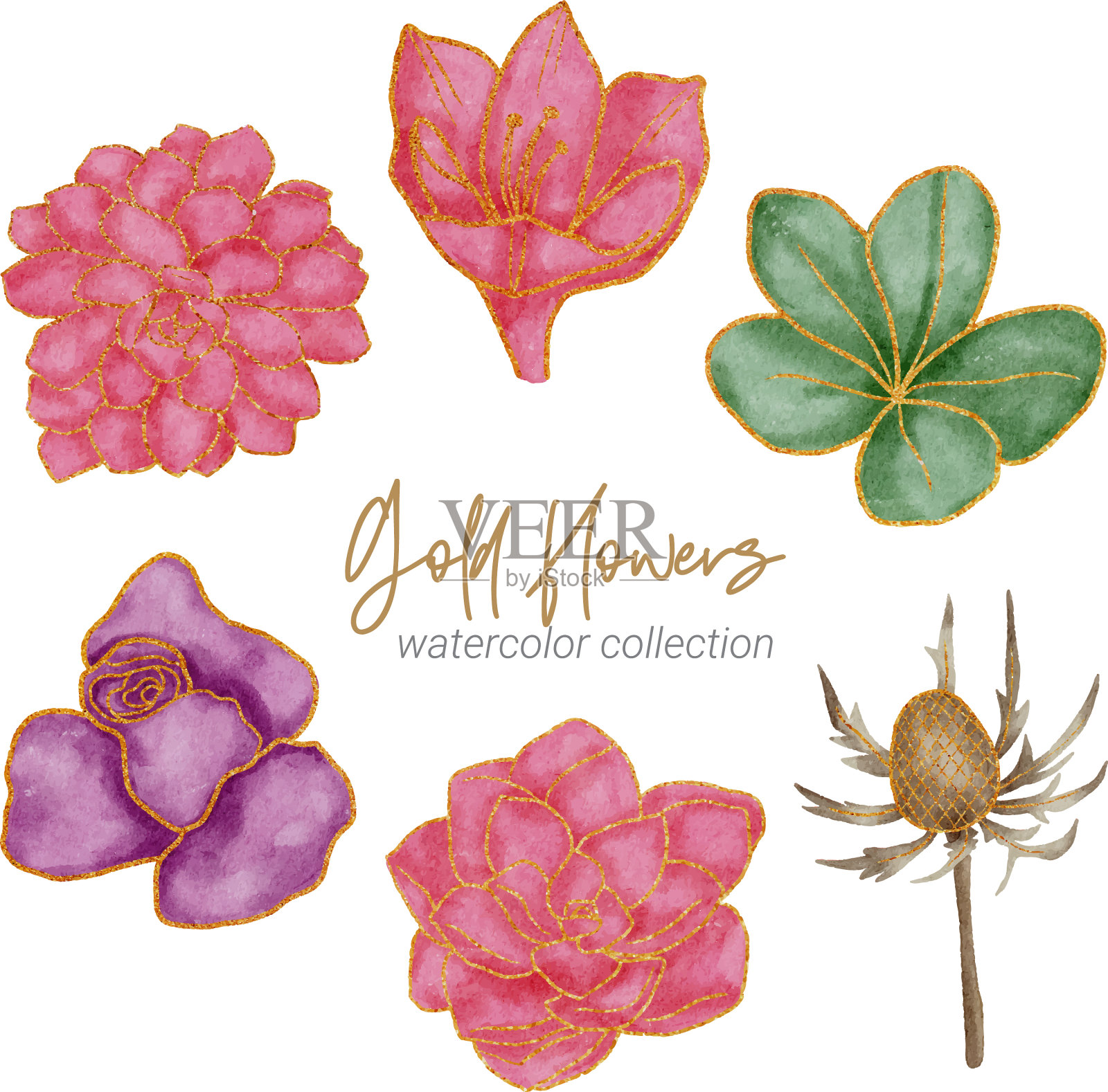 金花水彩手绘收藏插画图片素材