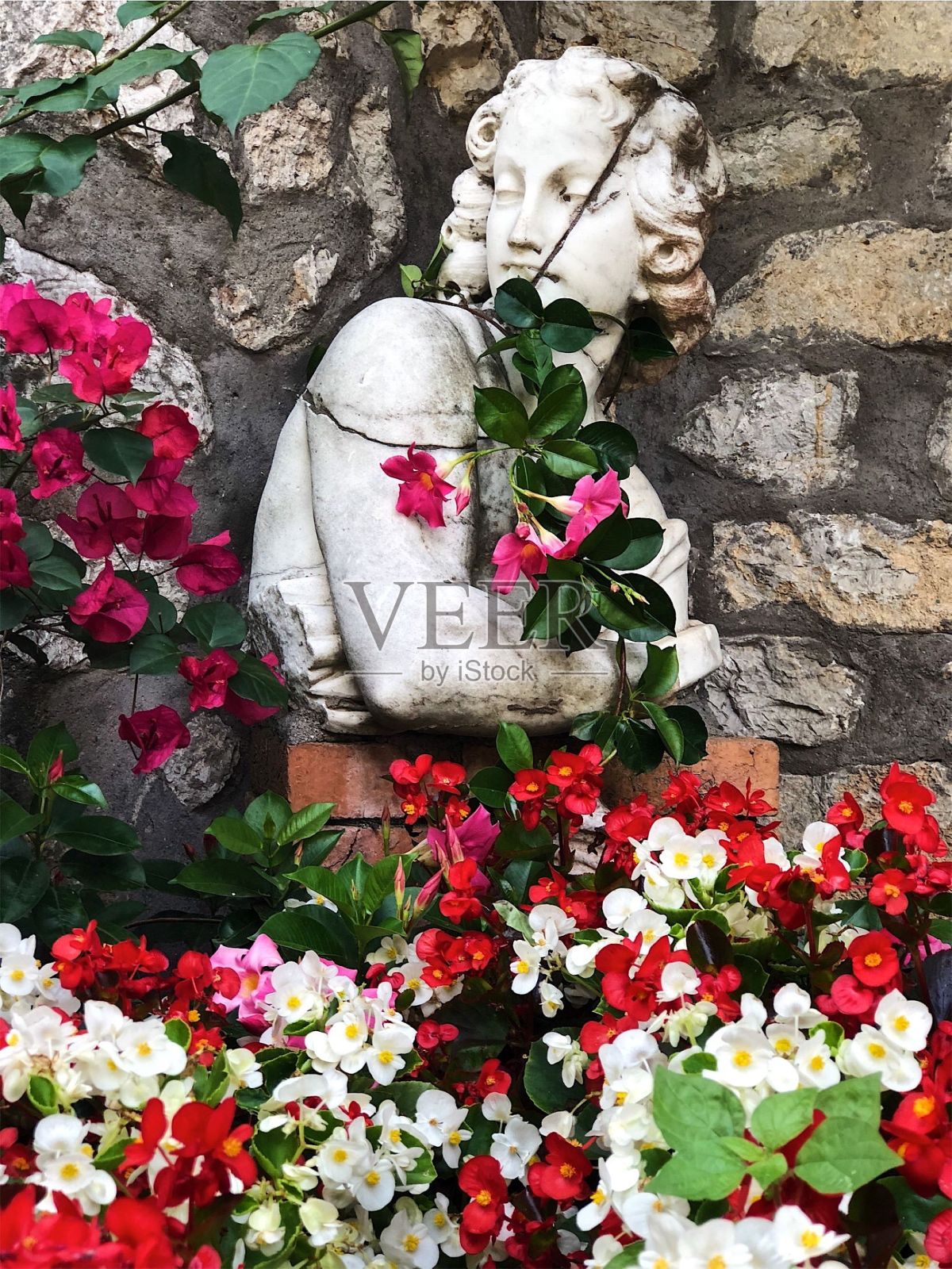 躲在五岛的花丛里。照片摄影图片