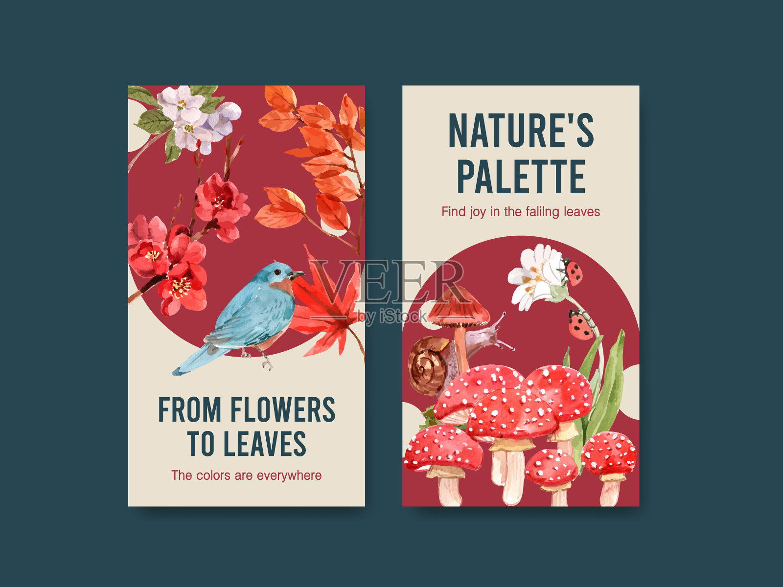 Instagram模板与秋天的森林和动物插画图片素材