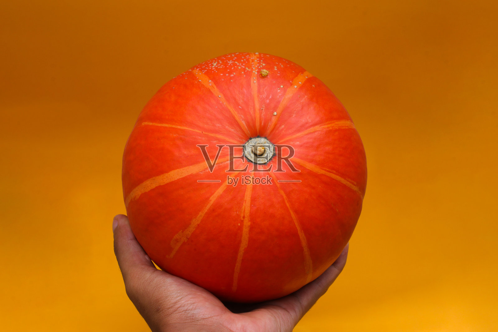 橙色的南瓜放在橙色的背景上照片摄影图片