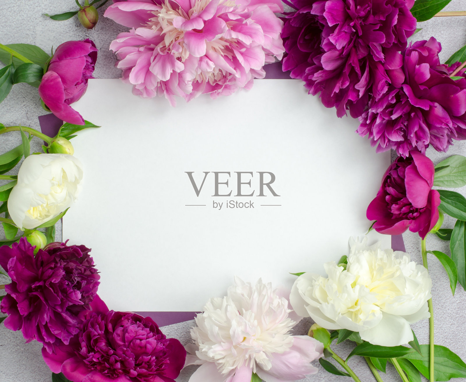 空白的贺卡或邀请。一张白纸,插在牡丹的镜框里。顶视图的空白页与文本的空间。花组成照片摄影图片