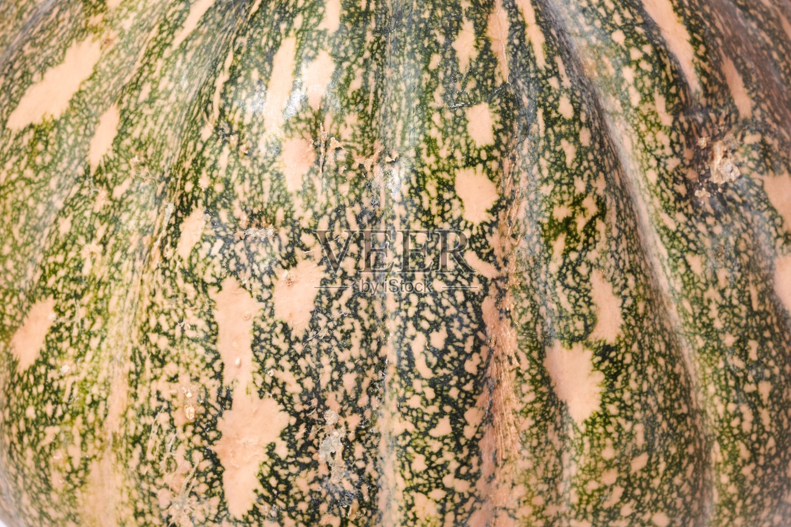 南瓜表面的微距镜头照片摄影图片