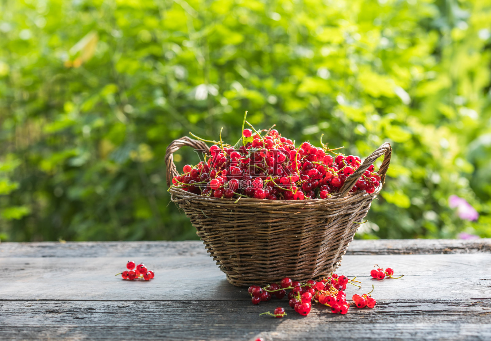 在一个质朴的木制背景上的碗里有成熟的红醋栗照片摄影图片