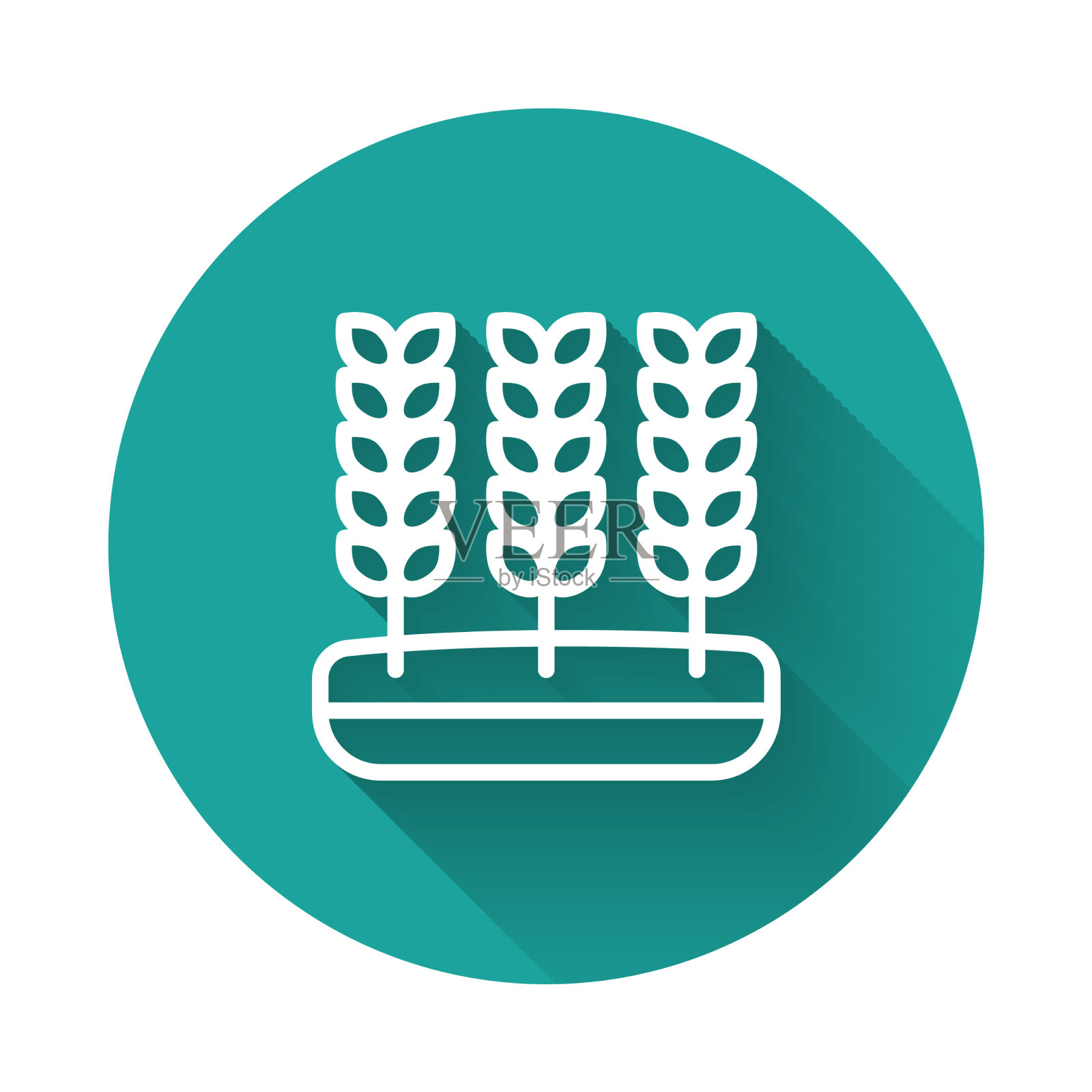 白线谷物与水稻小麦玉米插画图片素材