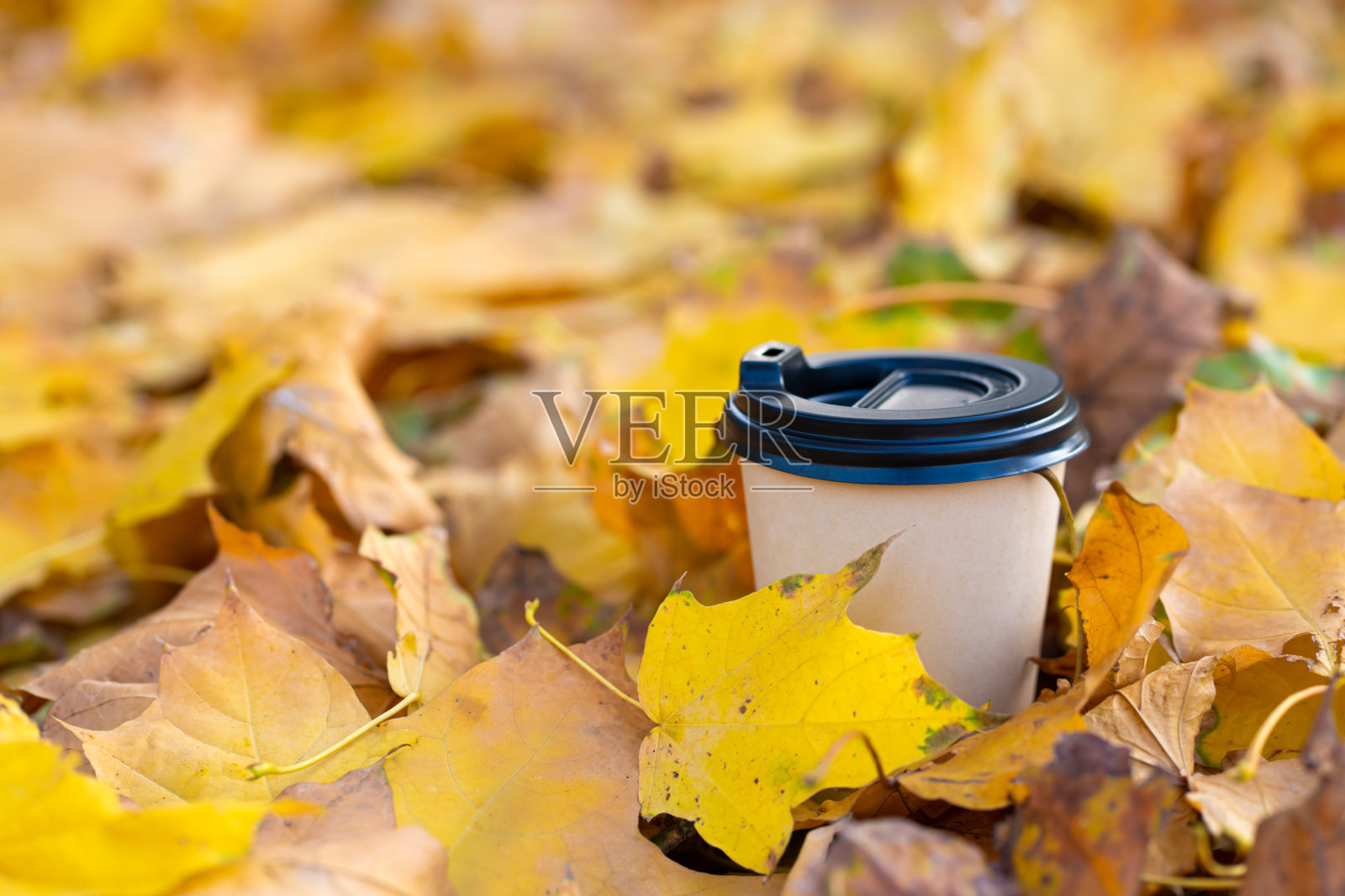 特写一杯落在黄叶中的热咖啡。照片摄影图片