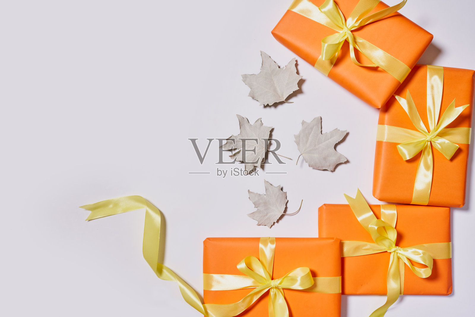 礼品盒和白色的落叶照片摄影图片