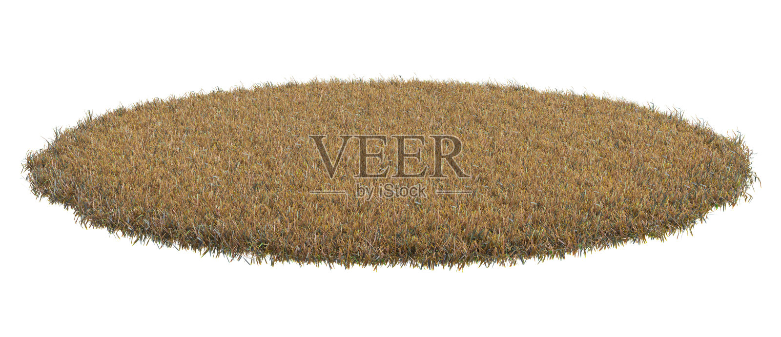 圆形的表面覆盖着干燥的草孤立在白色背景上。以写实的自然元素进行设计。明亮的3 d演示。照片摄影图片