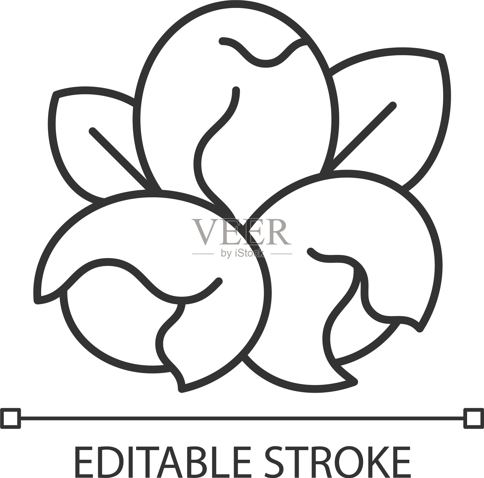 大豆坚果线性图标插画图片素材