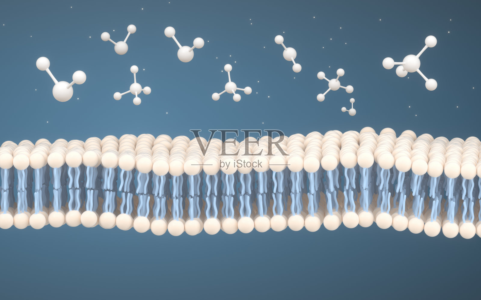 细胞膜和分子,三维渲染。照片摄影图片