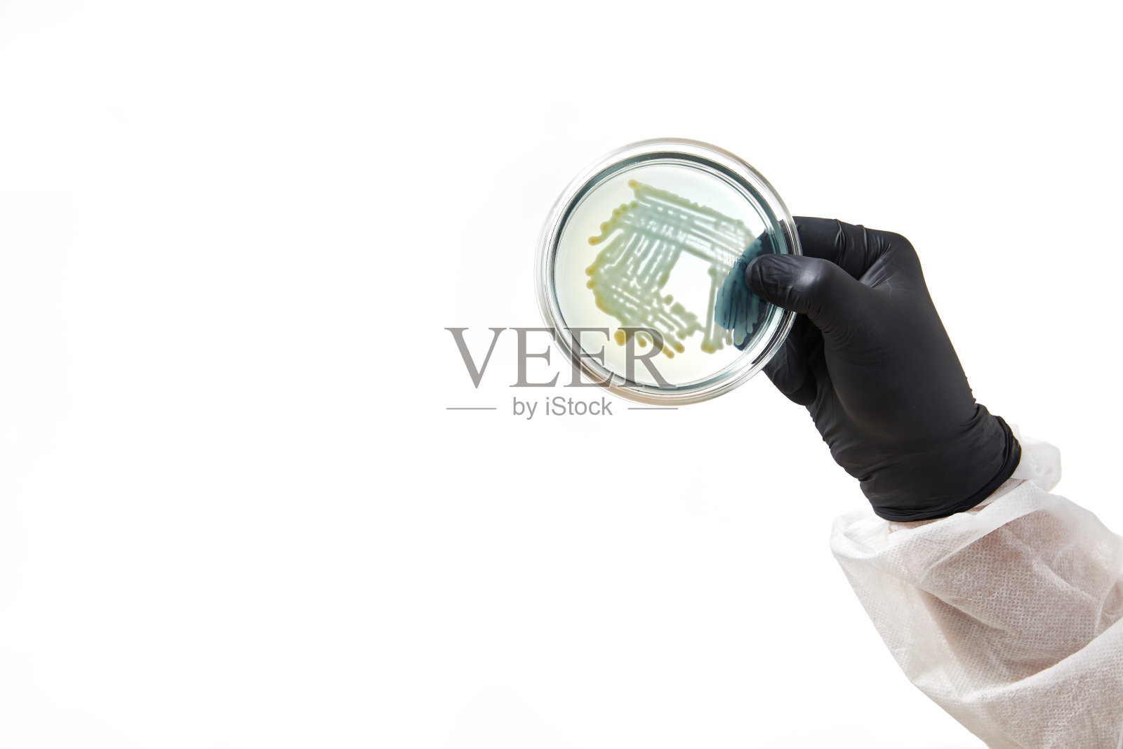 化验师在实验室戴手套。用玻璃板和样品进行测试。病毒和保健概念照片摄影图片