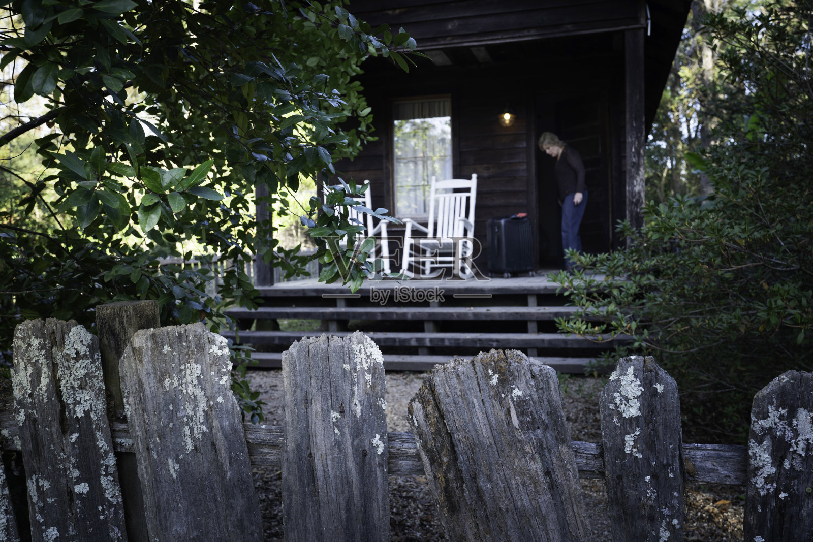 住在桃金娘种植园照片摄影图片