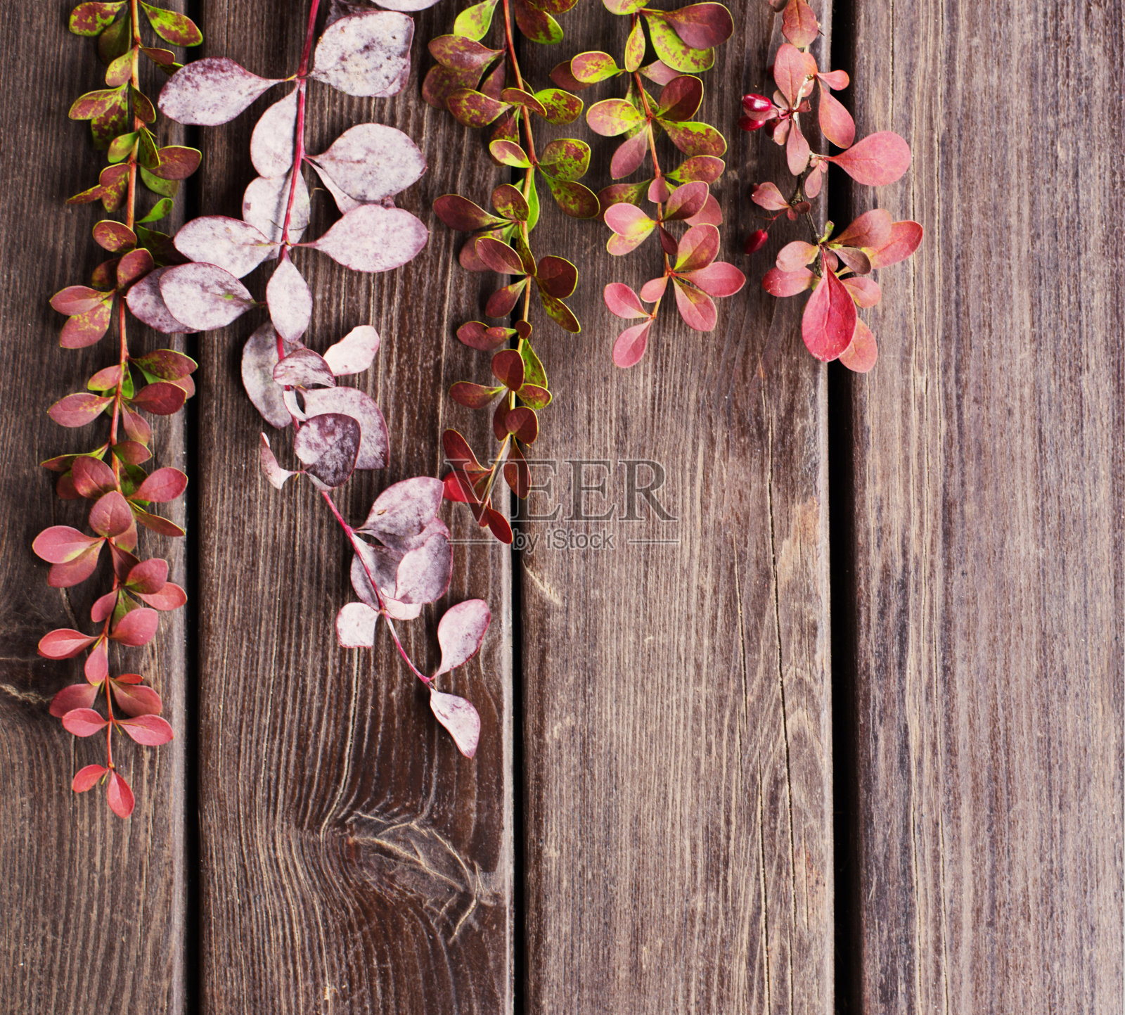 在古老的木制背景上的巴厘树枝照片摄影图片