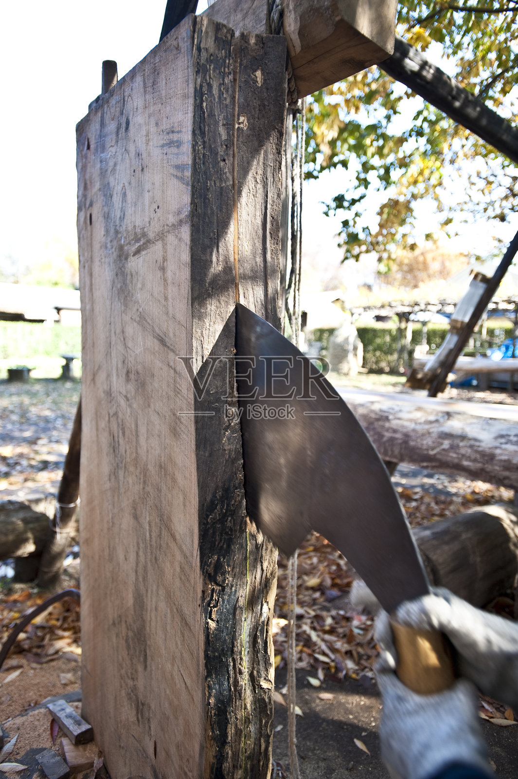 看到照片摄影图片