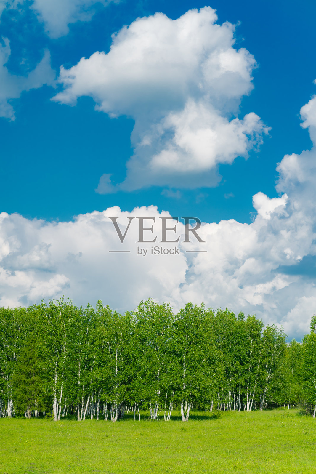 大Khingan山照片摄影图片