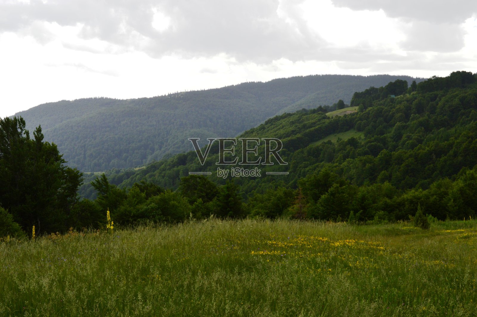 夏天山上的风景照片摄影图片