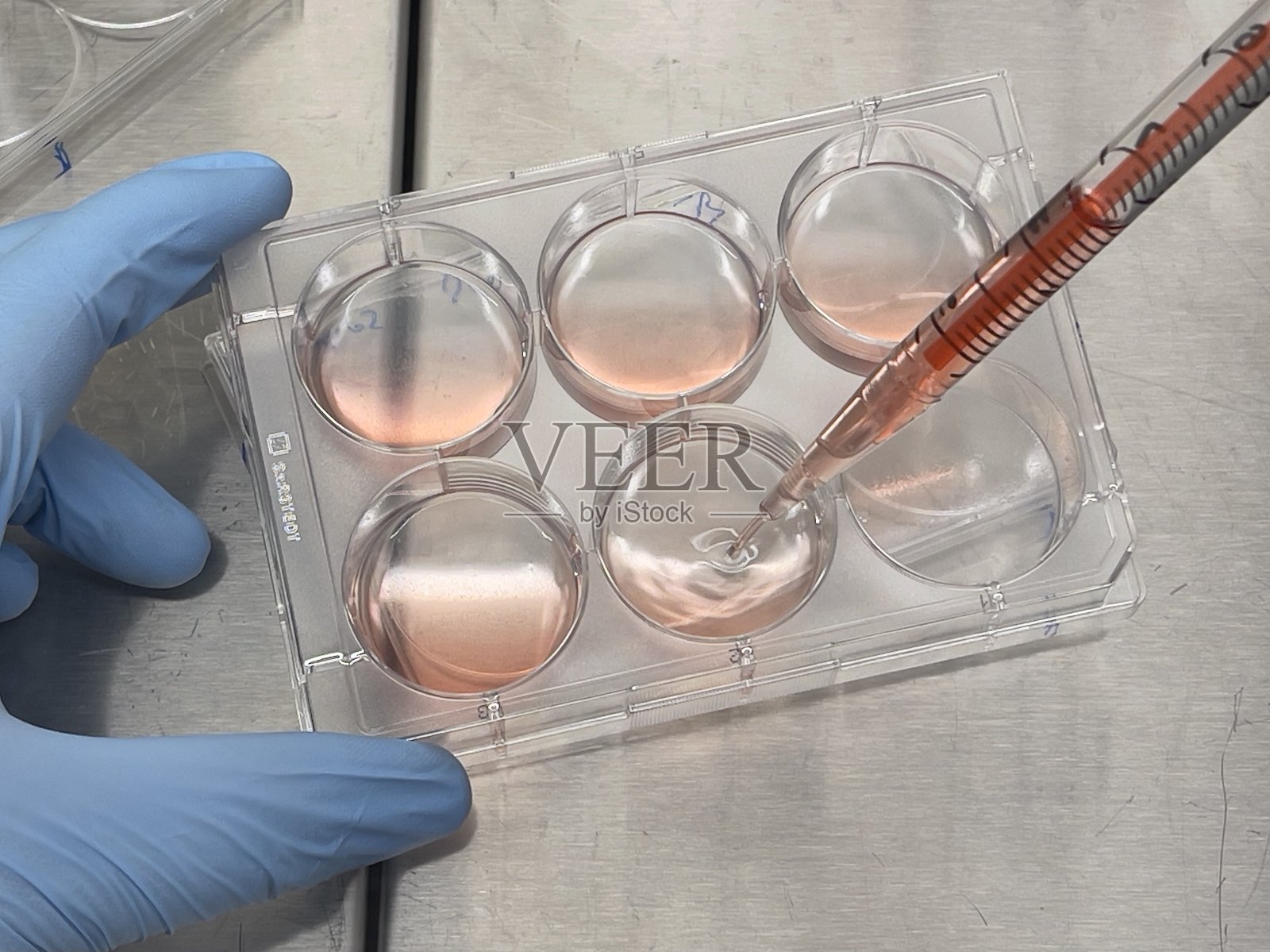 细胞培养工作正在进行中照片摄影图片