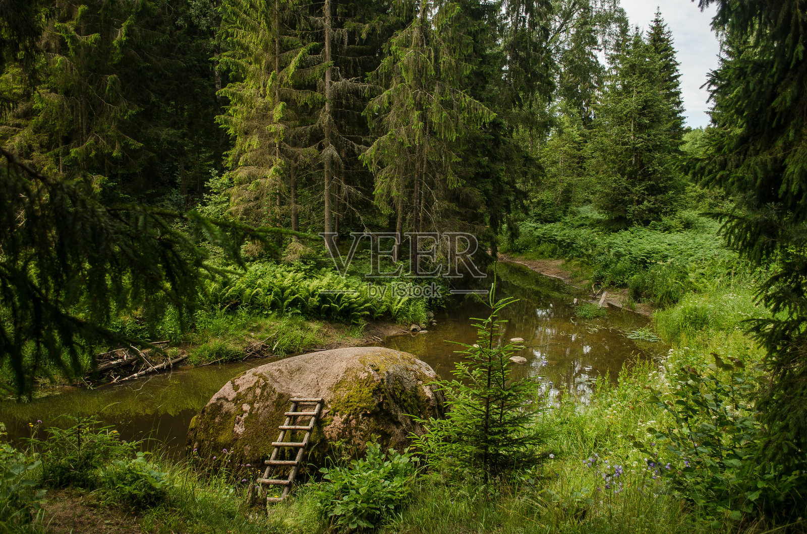 拉脱维亚,Viesata河绕着大石头绕行照片摄影图片