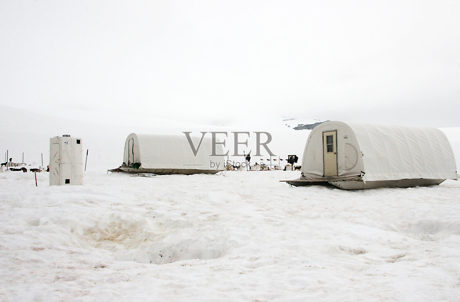 阿拉斯加雪橇犬冰川营地照片摄影图片