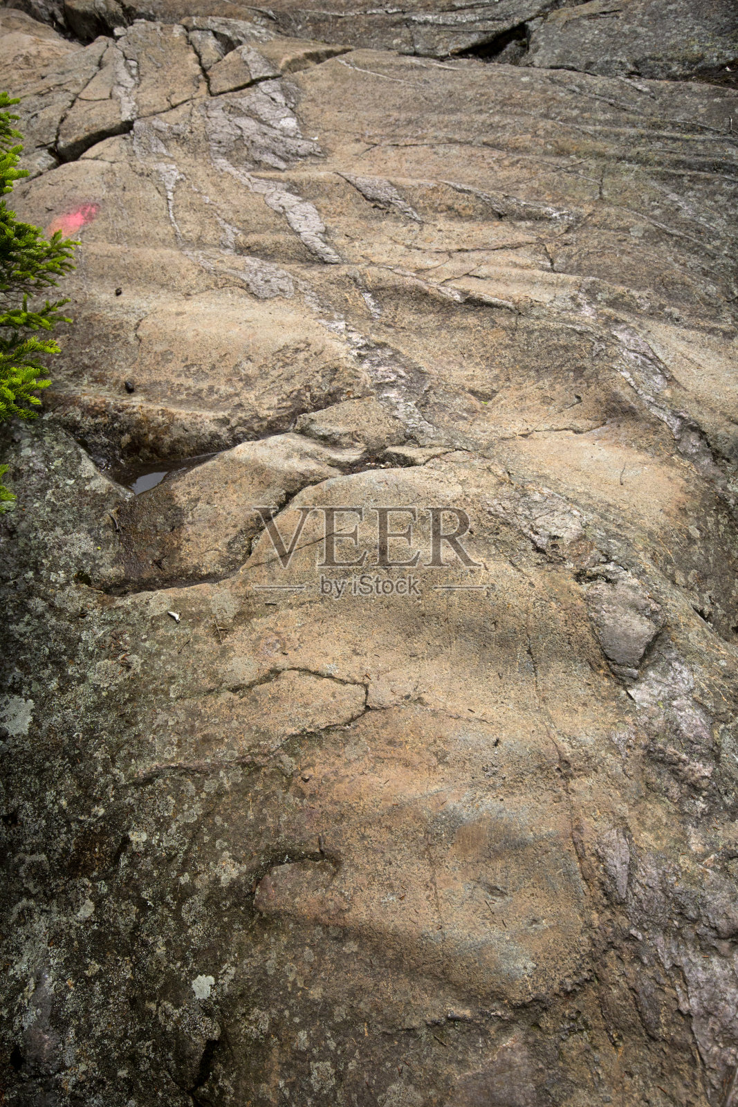 新罕布什尔州基尔萨奇山上的冰川沟槽和条纹。照片摄影图片