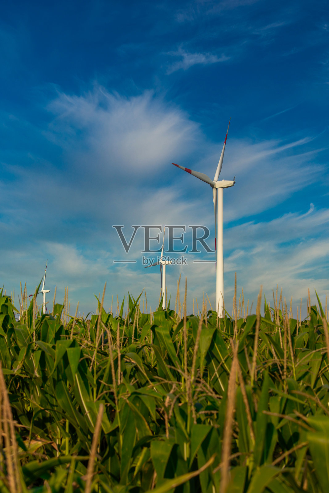 风车power-Renewable能源照片摄影图片