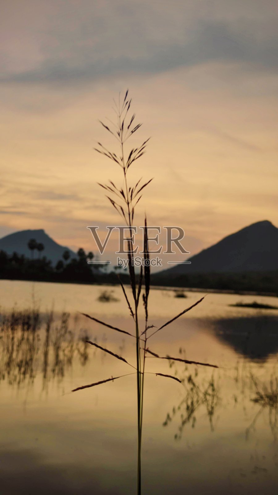 山上的黄金时光照片摄影图片