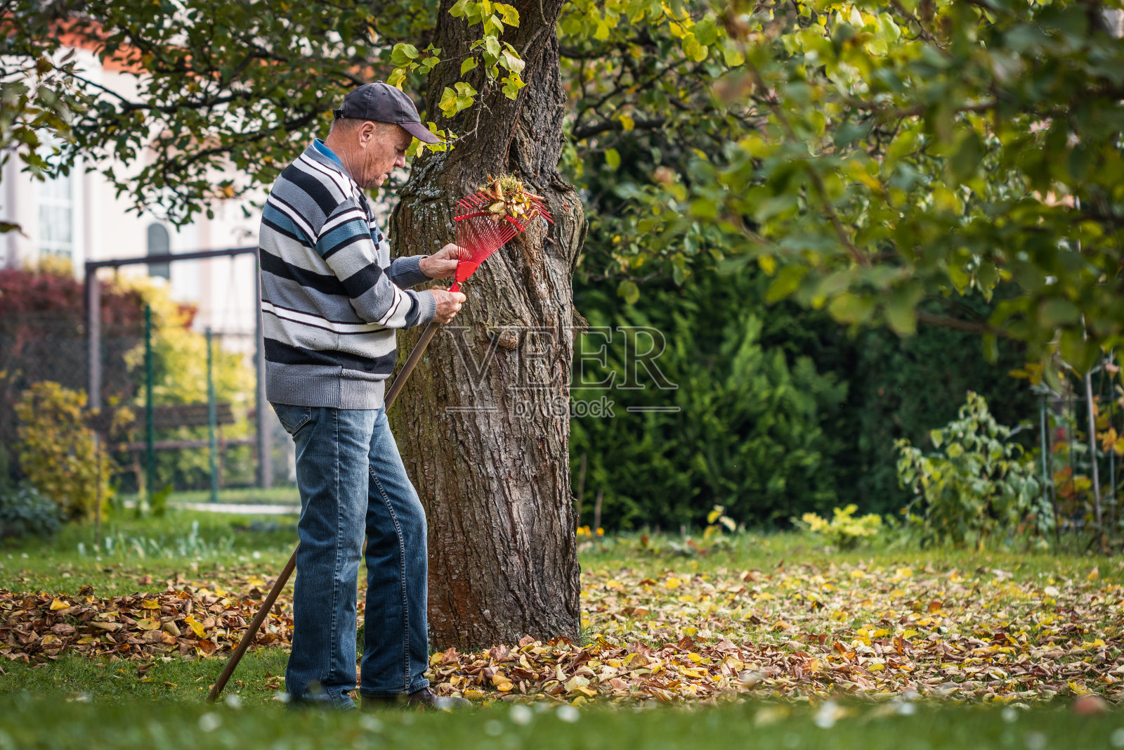 园丁清理后院的秋叶照片摄影图片