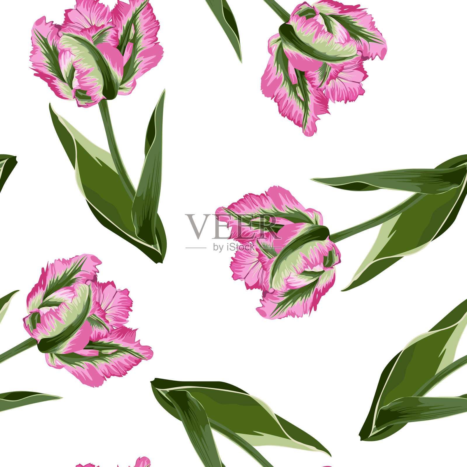 美丽的植物图案与郁金香花插画图片素材