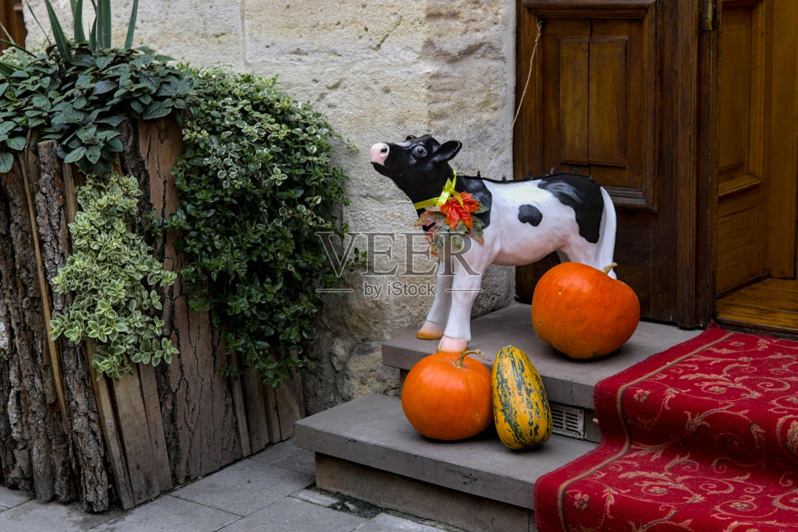 在丰收节,明亮的橙色南瓜被放置在一扇打开的门前的装饰雕像附近。照片摄影图片