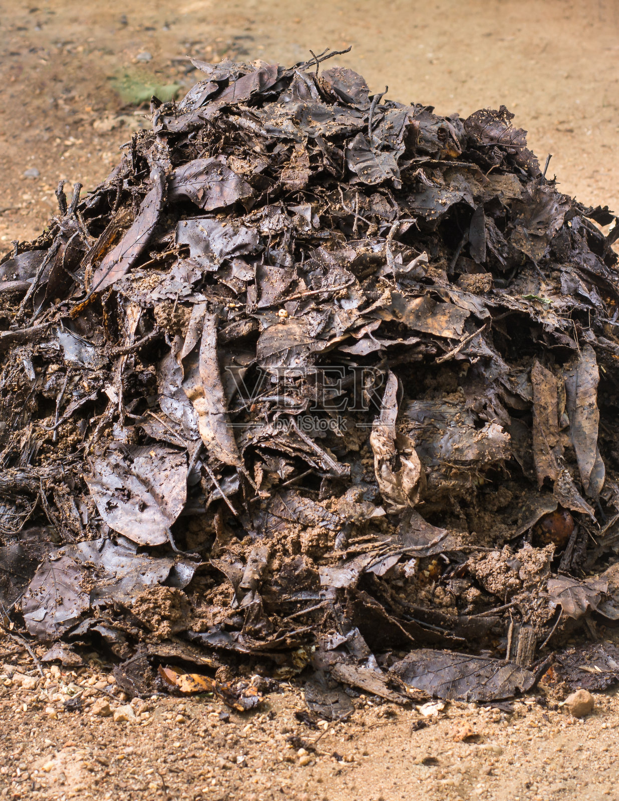 有机肥料,家用垃圾自制堆肥,回收材料照片摄影图片