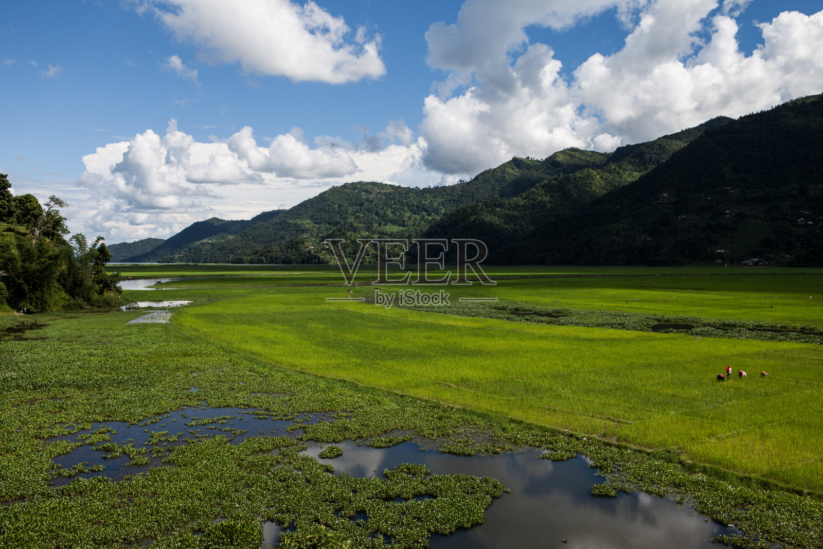博克拉菲瓦湖:尼泊尔照片摄影图片