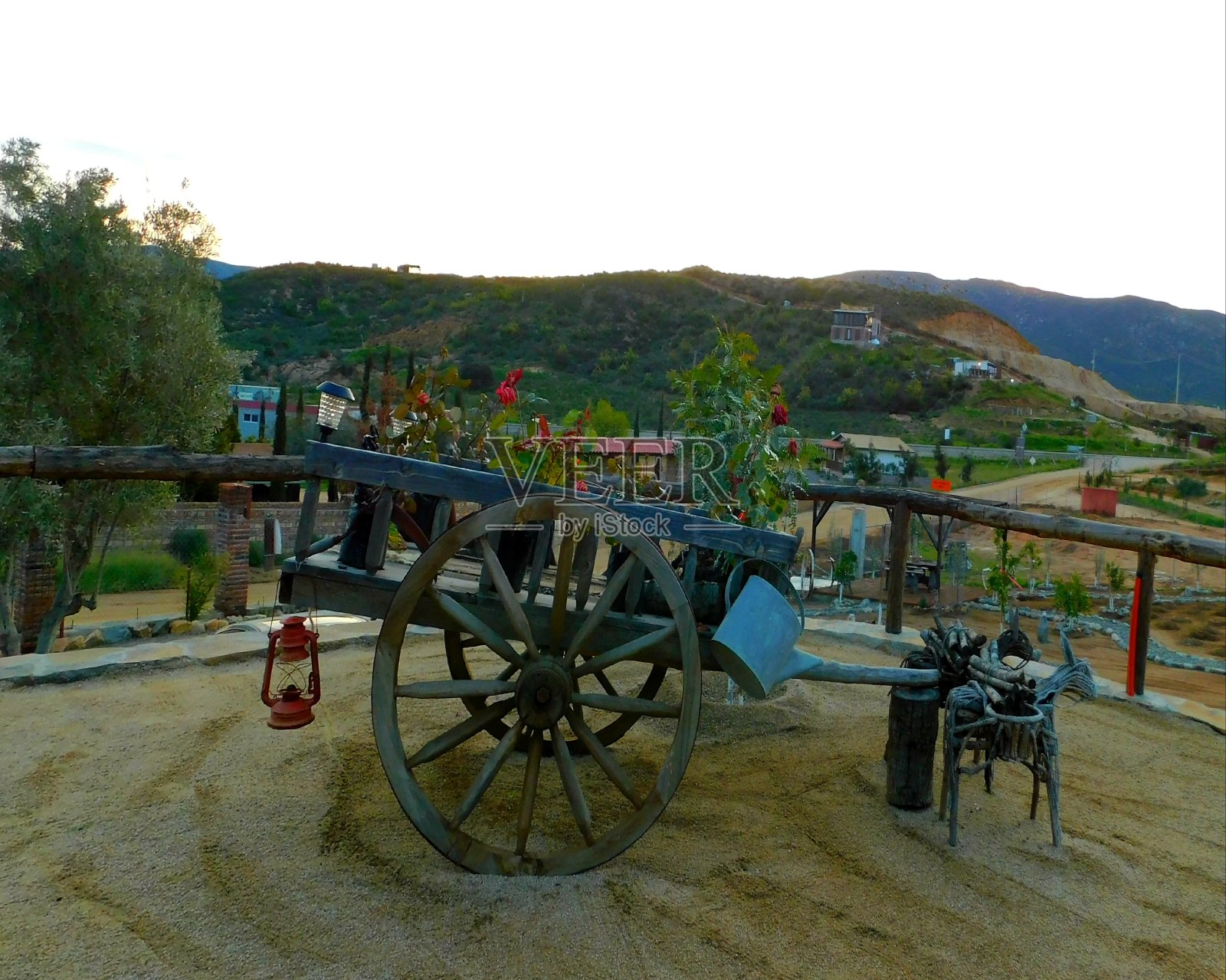 恩塞纳达农场,拉着马车的驴子。照片摄影图片