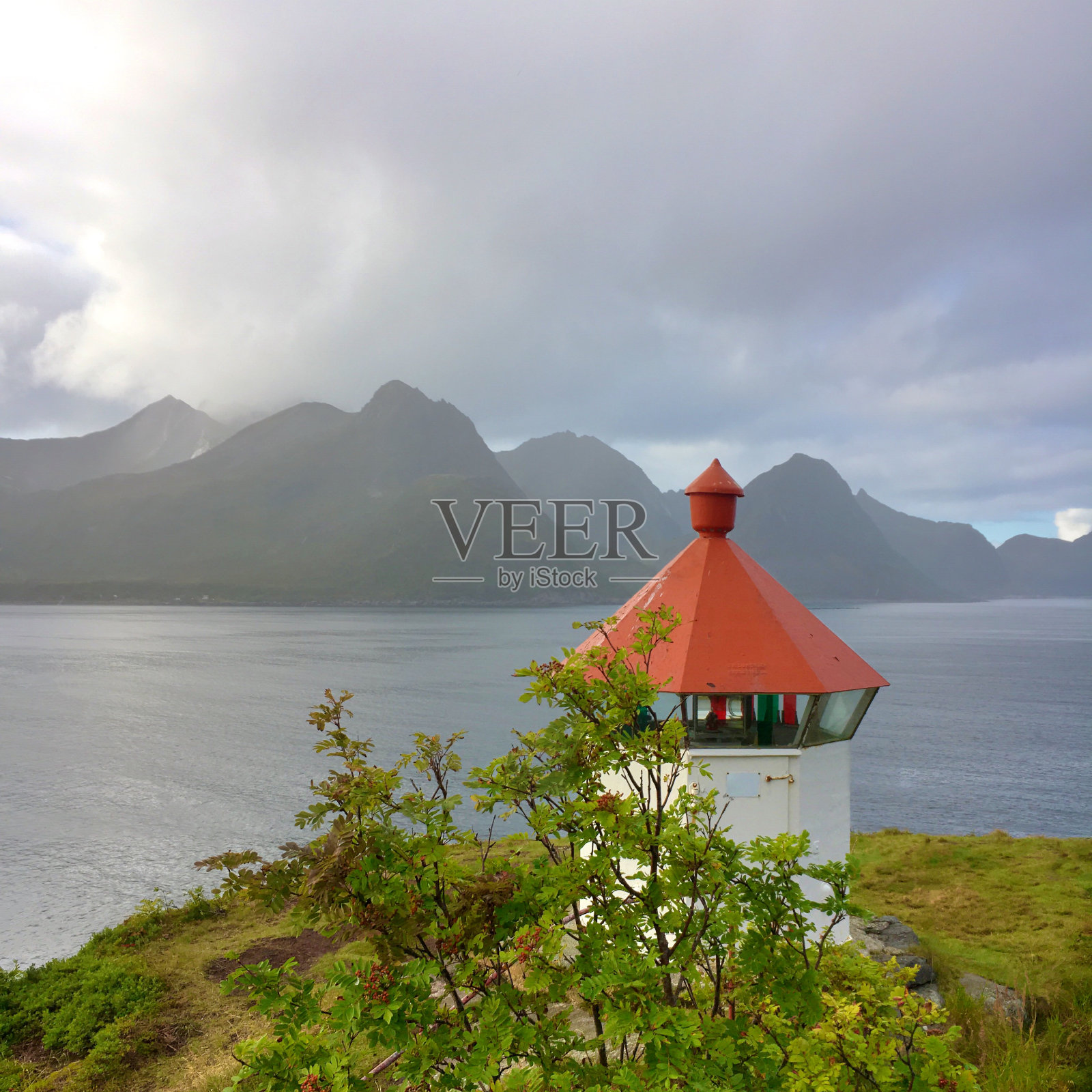 拉维辛· 森贾照片摄影图片