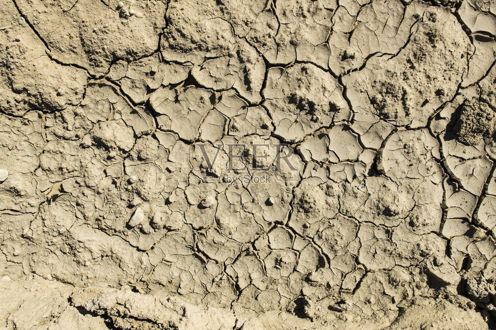 阳光下裂开的泥照片摄影图片