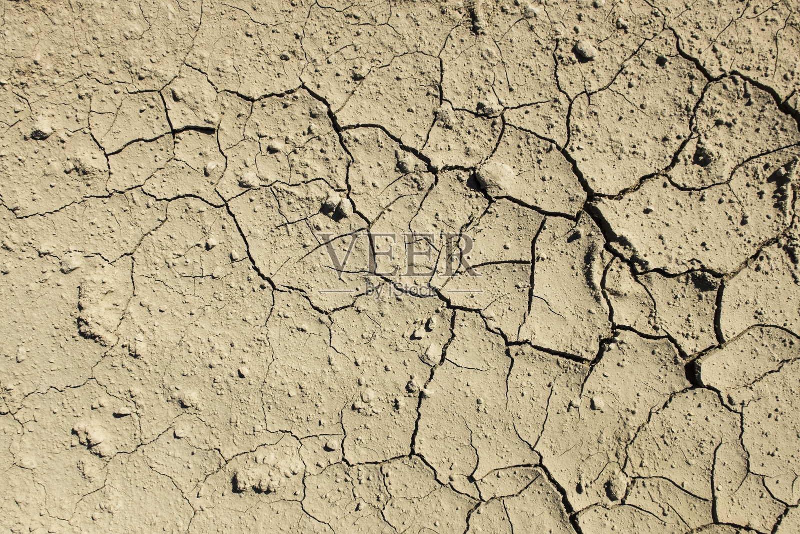 阳光下裂开的泥照片摄影图片