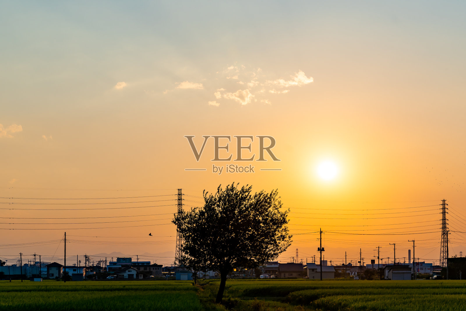 日落照片摄影图片