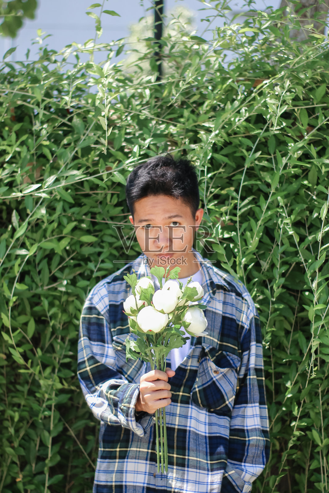 年轻男子手持白玫瑰在公园花园照片摄影图片