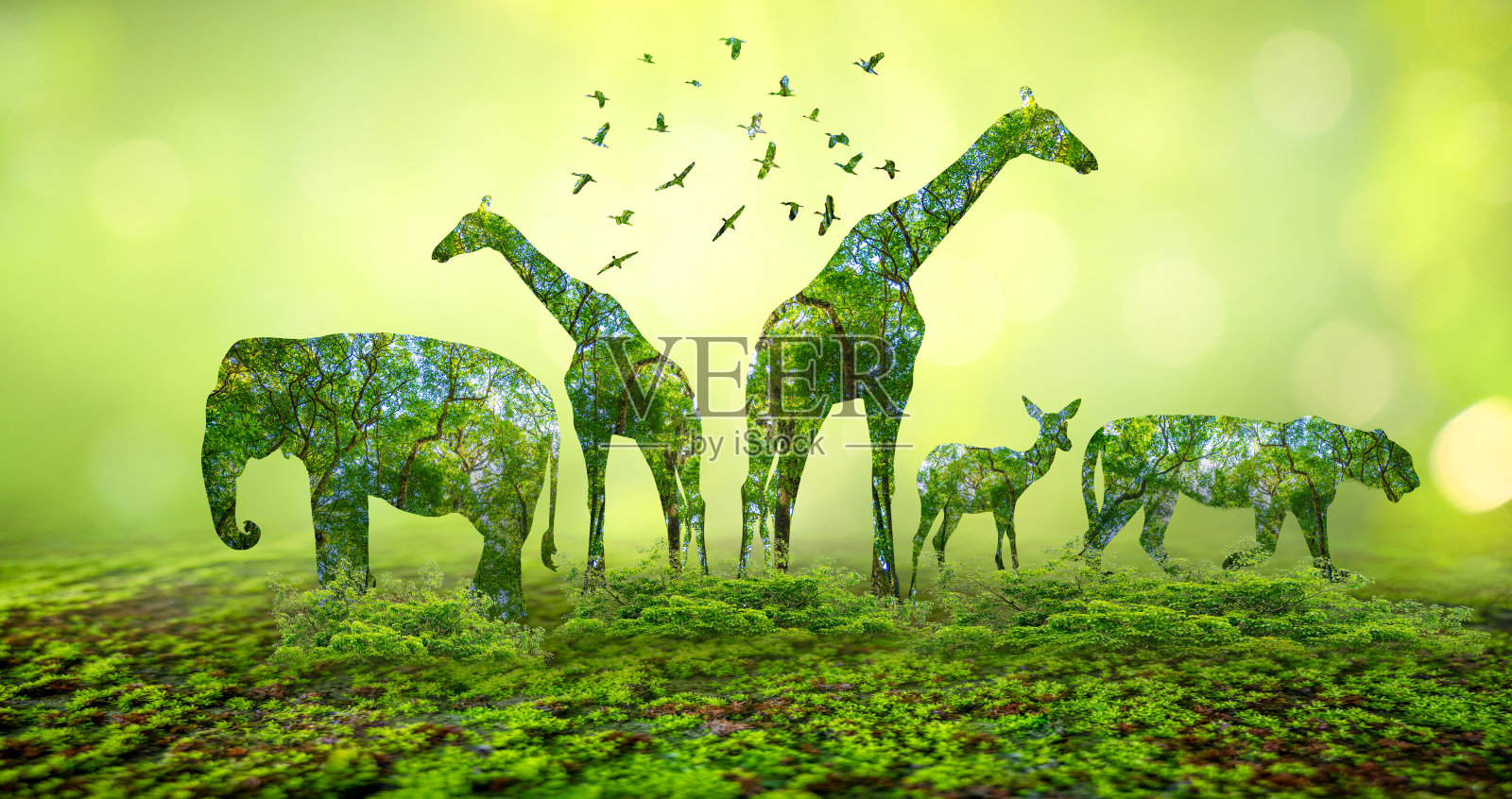 森林剪影的形状体现了野生动物和森林保护的理念照片摄影图片