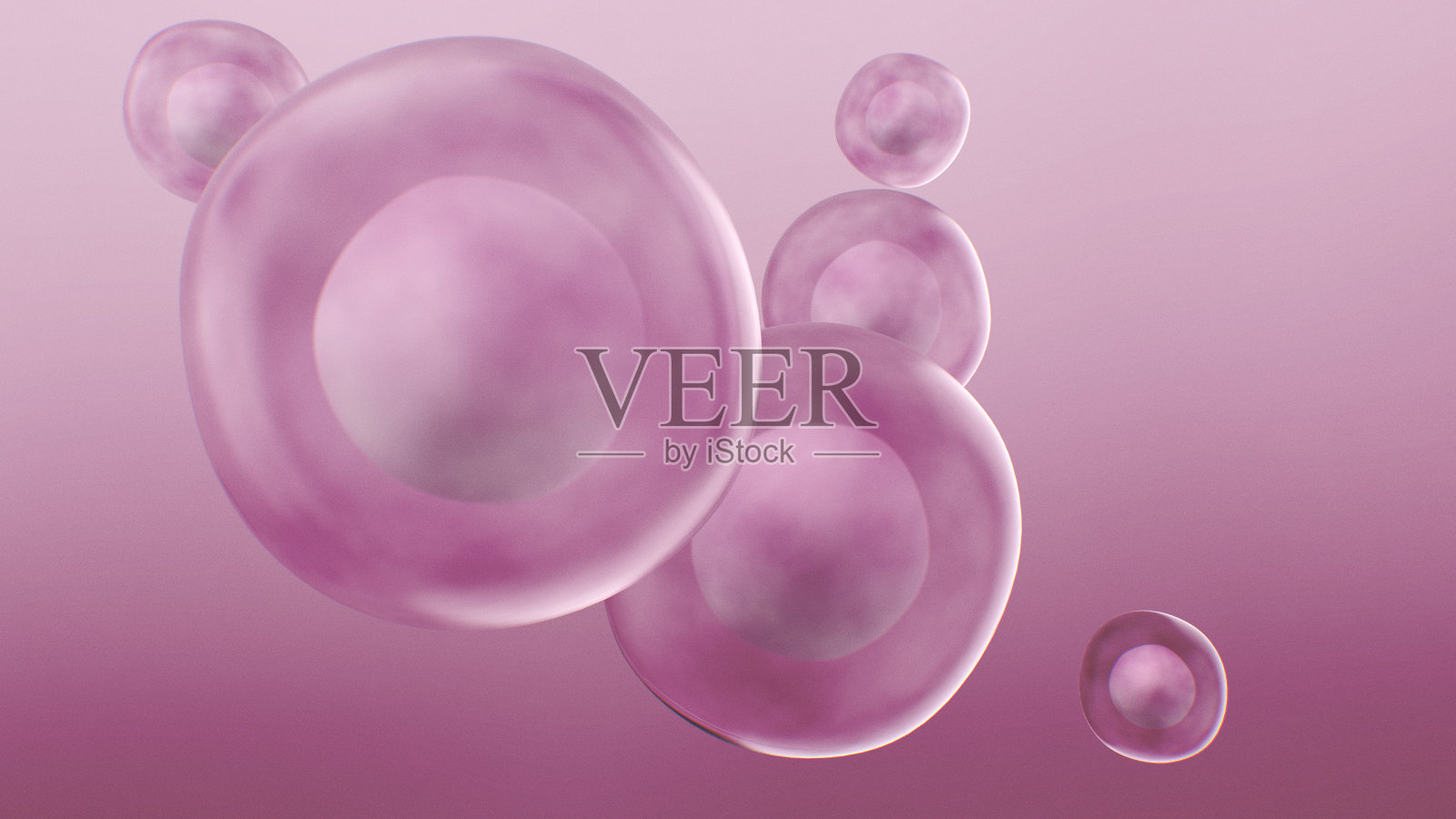 人类干细胞照片摄影图片