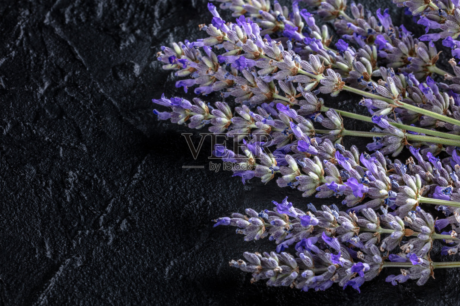 薰衣草花束,头顶平躺投篮,有文字的地方照片摄影图片