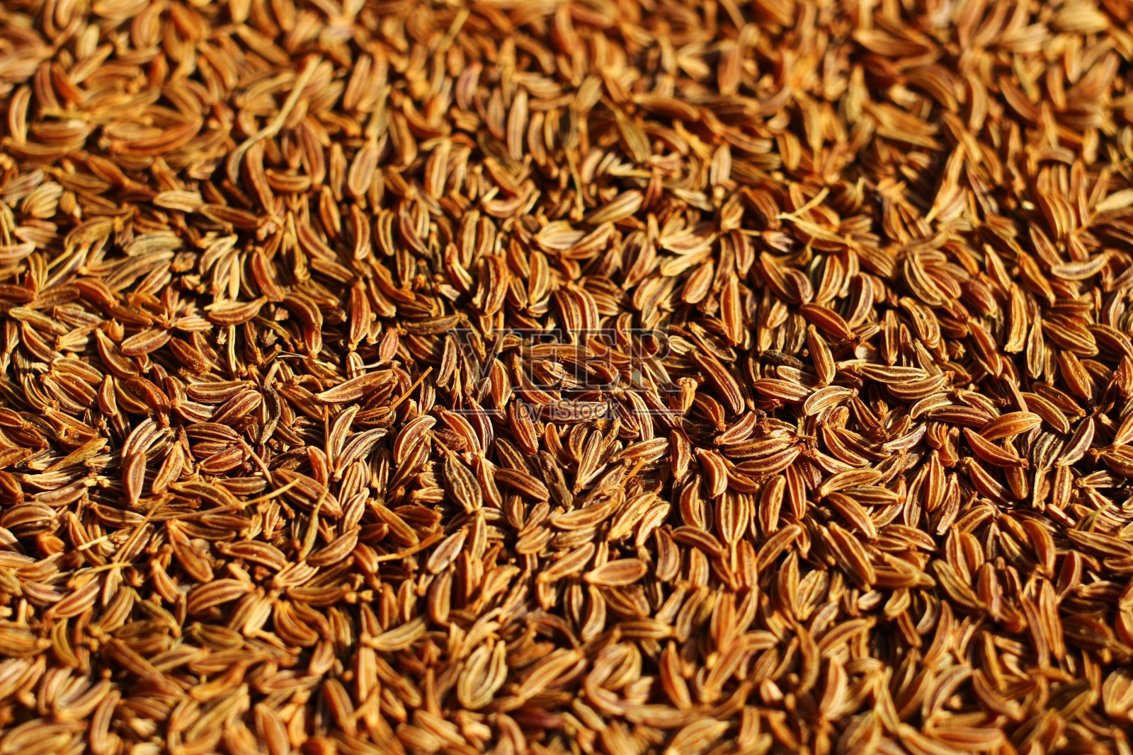 孜然籽特写照片摄影图片