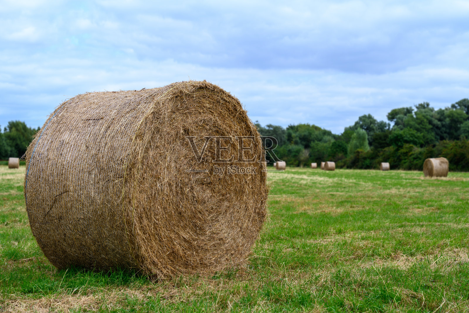 草堆堆积在草地上照片摄影图片