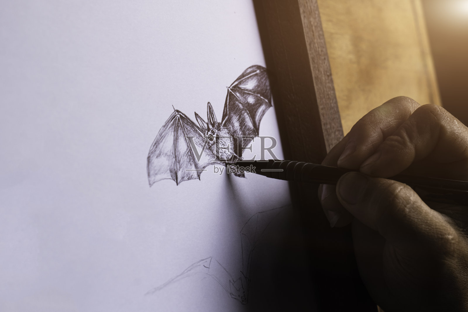 一个人在白纸上画一只蝙蝠。照片摄影图片