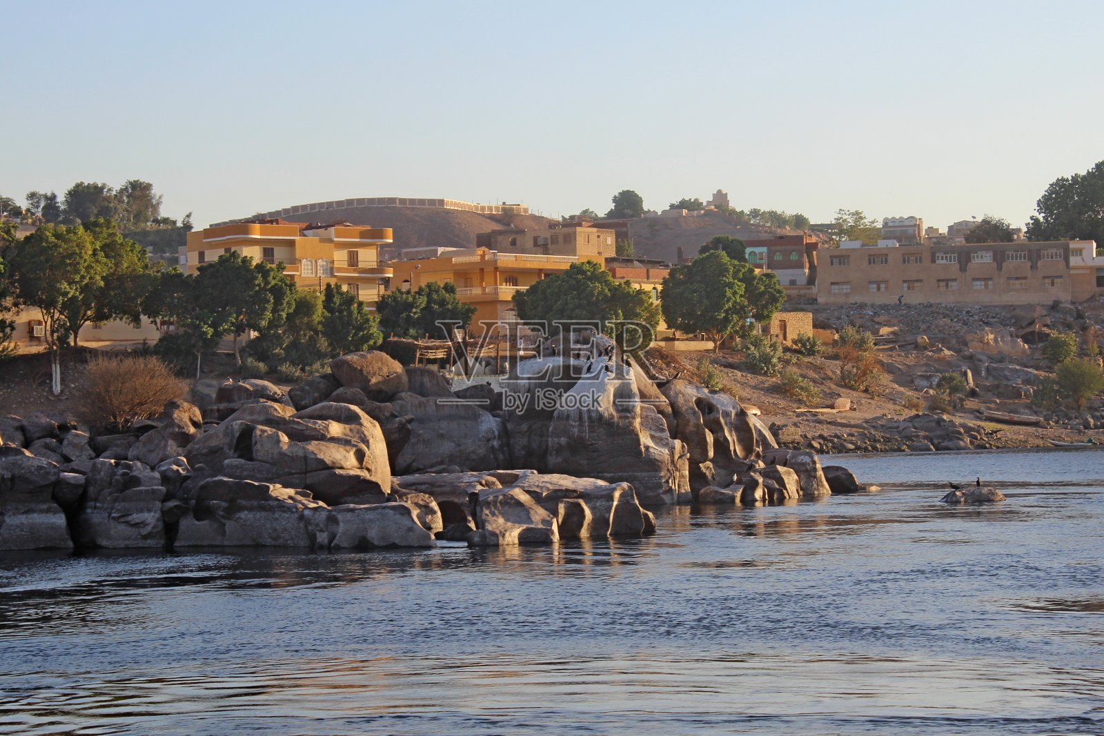 埃及阿斯旺的沙丘、植物与河流美景照片摄影图片