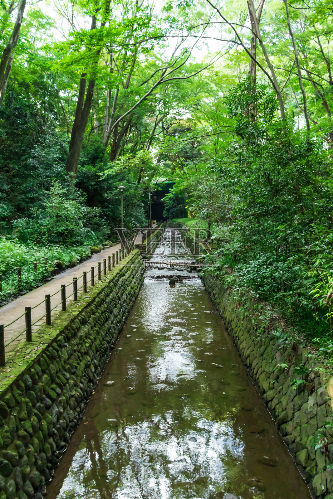 东京世田谷的Todoroki山谷照片摄影图片