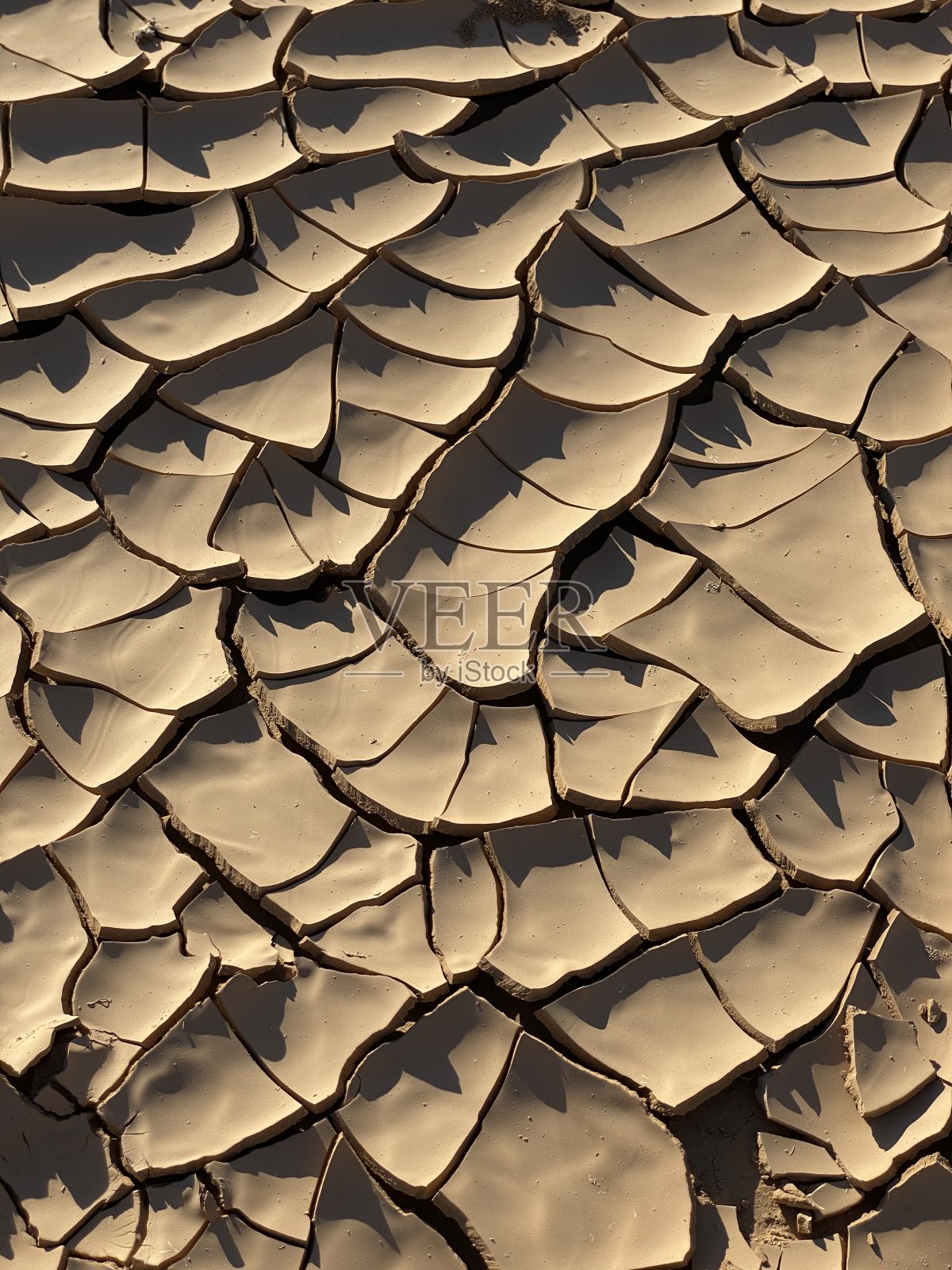 干旱与裂缝照片摄影图片