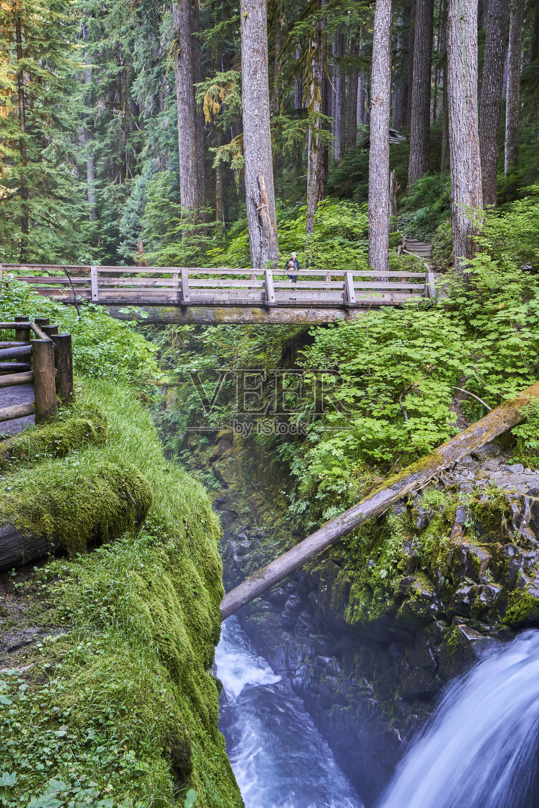在美国华盛顿州西部美丽的奥林匹克国家公园的独特风景的索尔杜克河谷的索尔杜克瀑布,母亲和蹒跚学步的女儿。照片摄影图片