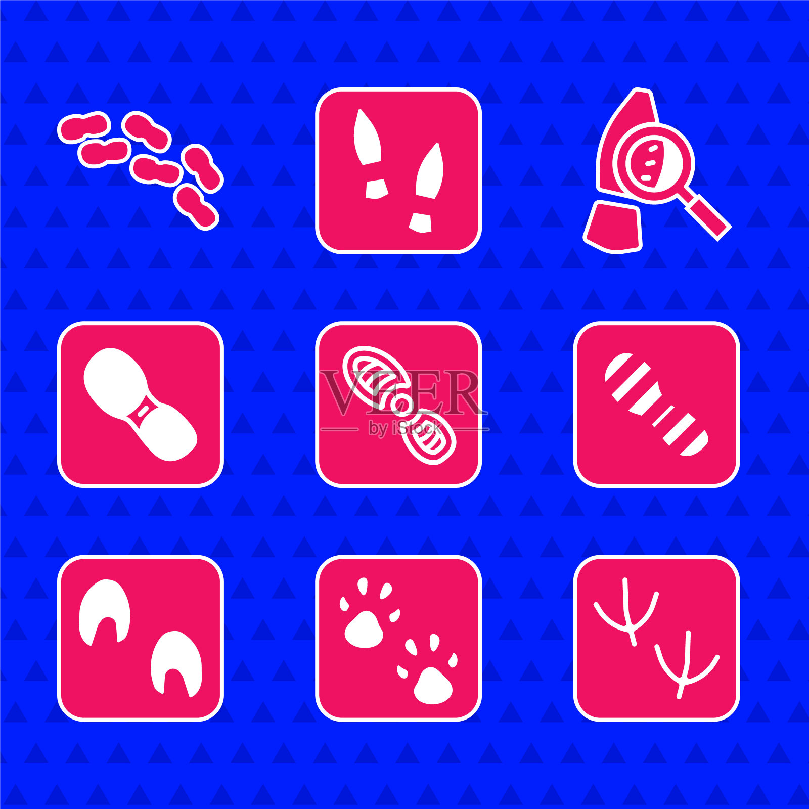 设置人类脚印鞋,爪子,鸽子爪子,马,放大镜与脚印和图标。向量图标素材