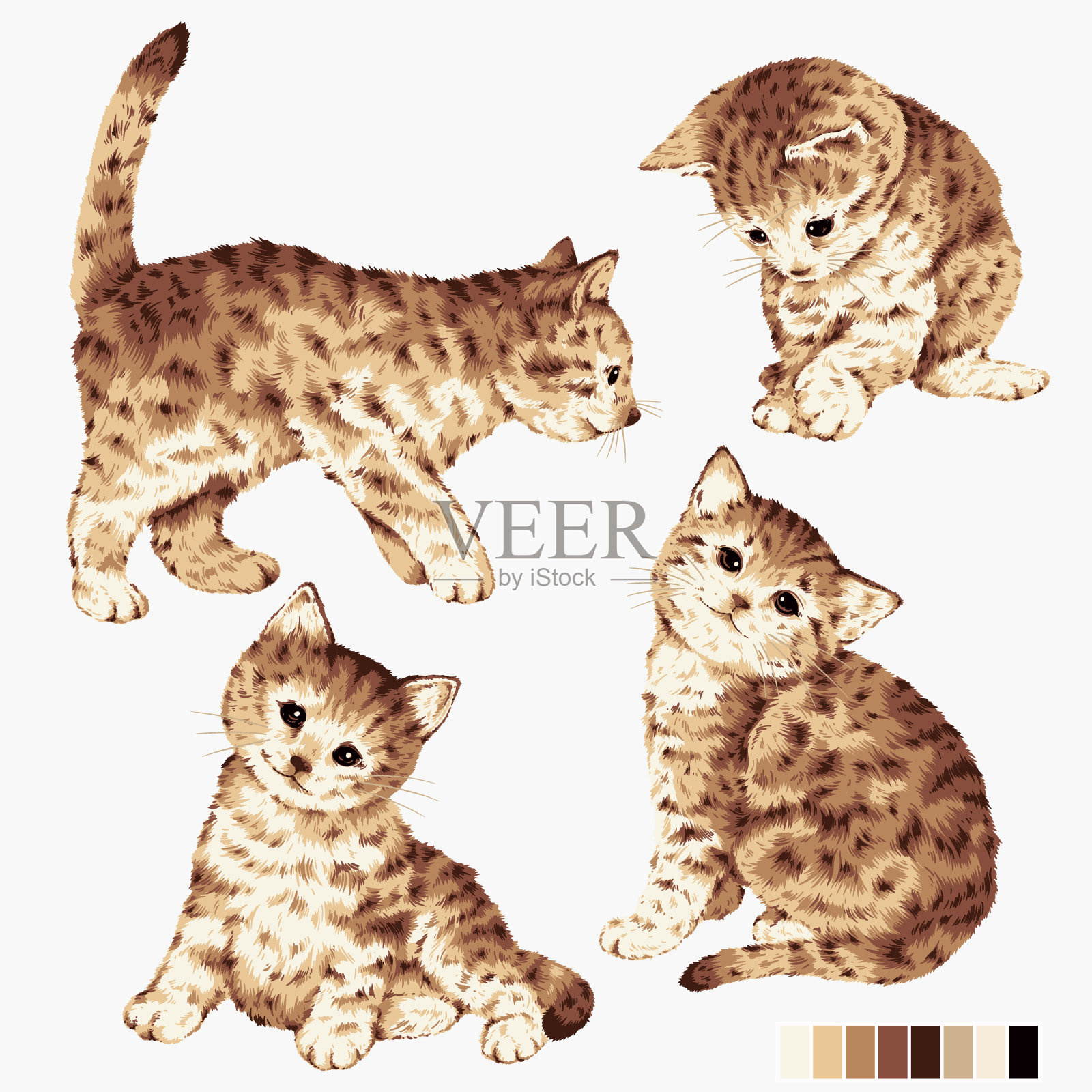 可爱和现实的猫矢量插图,插画图片素材