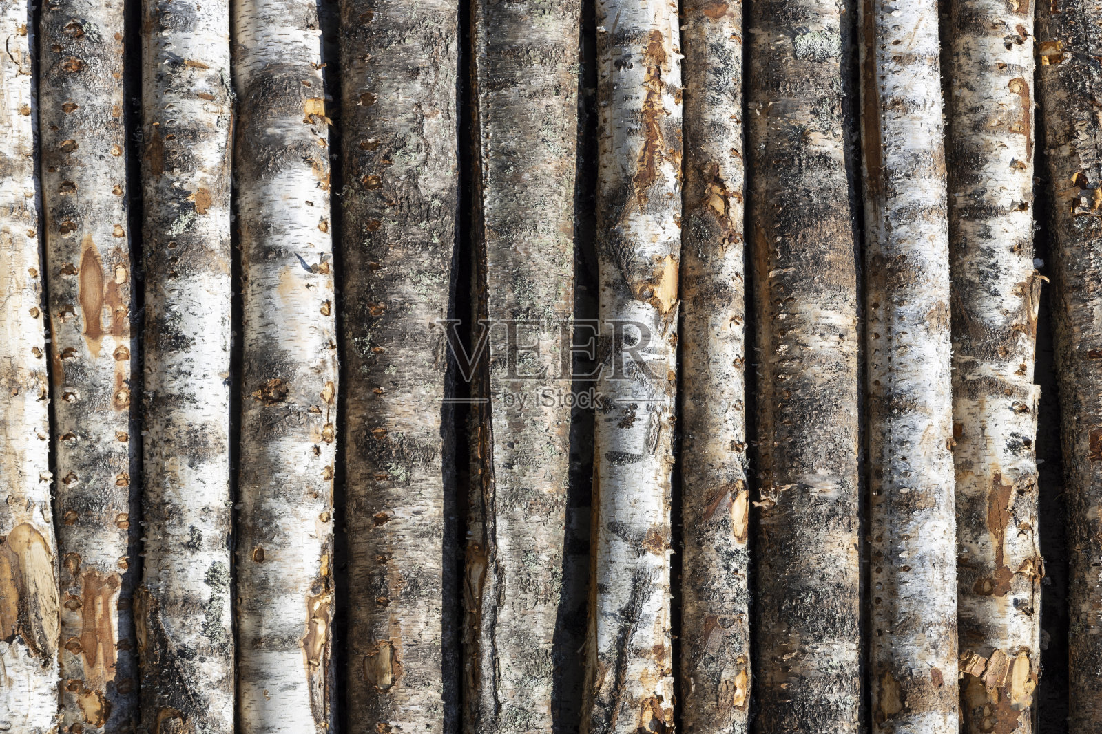 一排排的桦树原木。这些树被堆了起来。木材照片摄影图片